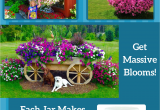 Beat Your Neighbor Plant Food and Fertilizer Home for Beat Your Neighbor Plant Food Fertilizer My Garden