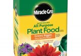 Beat Your Neighbor Plant Food and Fertilizer Plant Food Fertilizer Plant Care the Home Depot
