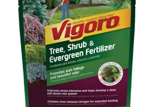 Beat Your Neighbor Plant Food and Fertilizer Plant Food Fertilizer Plant Care the Home Depot