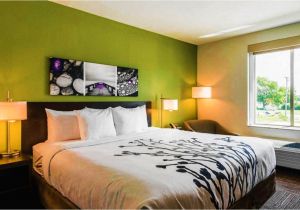 Bed and Breakfast In Columbia Tn Sleep Inn Updated 2019 Prices Reviews Photos Columbia Tn