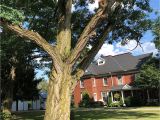 Bed and Breakfast In Lexington Mi somewhere In Time Bed and Breakfast Prices B B Reviews