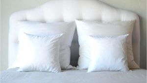 Bed Bath and Beyond Pillow Inserts 16 Pillow Insert 16 Inch Pillow Insert Ikea Freemobie360