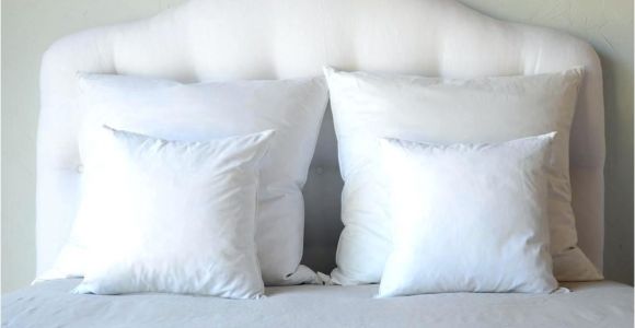 Bed Bath and Beyond Pillow Inserts 16 Pillow Insert 16 Inch Pillow Insert Ikea Freemobie360