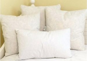 Bed Bath and Beyond Pillow Inserts Euro Pillow Inserts Decorator Inch Square Pillows Set Of 2