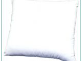 Bed Bath and Beyond Pillow Inserts Euro Pillow Inserts Size How Big is A King Large Of