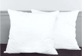 Bed Bath and Beyond Pillow Inserts Euro Pillow Inserts the Secret to A Great Looking Sham Via