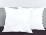 Bed Bath and Beyond Pillow Inserts Euro Pillow Inserts the Secret to A Great Looking Sham Via