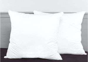 Bed Bath and Beyond Pillow Inserts Euro Pillow Inserts the Secret to A Great Looking Sham Via