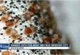 Bed Bug Exterminator Milwaukee Bed Bugs Milwaukee Again Makes top Bed Bug Cities List Bed