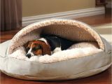 Bedside Platform Dog Bed Diy orvis Bedside Platform Dog Beds Diy No Sew Dog Bed