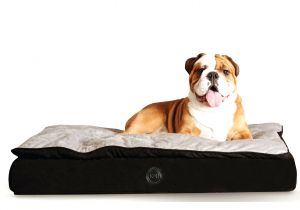 Bedside Platform Dog Bed Diy orvis Bedside Platform Dog Beds Diy No Sew Dog Bed