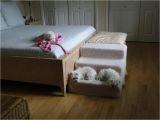 Bedside Platform Dog Bed Diy Platform Dog Bed Littlefun Bedside Platform Dog Bed