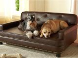 Bedside Platform Dog Bed for Sale Dog Beds for Sale Buy Cheap Dog Beds Dog Pet Beds Dog Beds