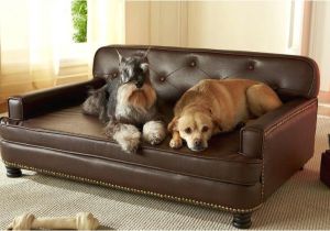 Bedside Platform Dog Bed for Sale Dog Beds for Sale Buy Cheap Dog Beds Dog Pet Beds Dog Beds