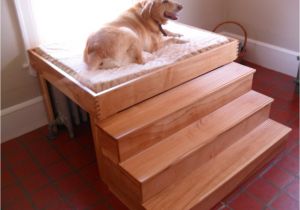 Bedside Platform Dog Bed Plans Elevated Dog Bed Plans Wood Korrectkritterscom