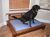 Bedside Platform Dog Bed Plans orvis Pet Beds Cvs Dog Beds Dog Beds U Gallery Dog