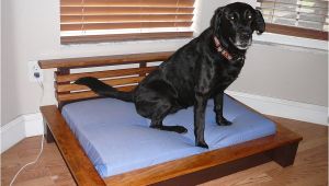 Bedside Platform Dog Bed Plans orvis Pet Beds Cvs Dog Beds Dog Beds U Gallery Dog