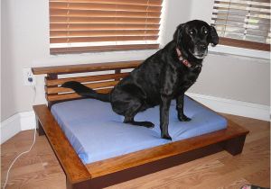 Bedside Platform Dog Bed Plans orvis Pet Beds Cvs Dog Beds Dog Beds U Gallery Dog