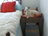 Bedside Platform Dog Bed Raised Dog Beds Bedside Platform Dog Bed for Sale