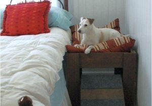 Bedside Platform Dog Bed Raised Dog Beds Bedside Platform Dog Bed for Sale