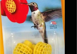 Bee Guards for Hummingbird Feeders Pin by Ramona Rivers On Hummingbirds Pinterest