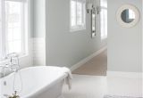 Benjamin Moore Arctic Gray Master Bathroom Decor the Lilypad Cottage