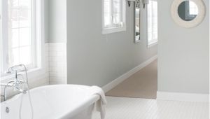 Benjamin Moore Arctic Gray Master Bathroom Decor the Lilypad Cottage