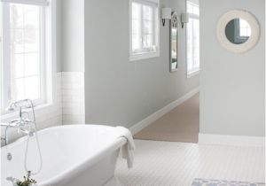 Benjamin Moore Arctic Gray Master Bathroom Decor the Lilypad Cottage