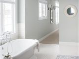 Benjamin Moore Arctic Grey Paint Master Bathroom Decor the Lilypad Cottage