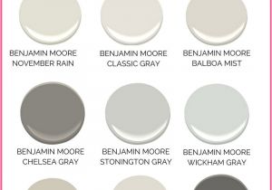 Benjamin Moore Balboa Mist Reviews Gray Paint Colors for Your Home Best Benjamin Moore Gray Paint