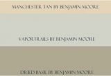 Benjamin Moore Dried Basil Manchester Tan Benjamin Moore Manchester Tan Vapor