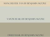 Benjamin Moore Dried Basil Manchester Tan Benjamin Moore Manchester Tan Vapor