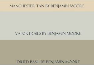 Benjamin Moore Dried Basil Manchester Tan Benjamin Moore Manchester Tan Vapor