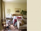 Benjamin Moore Elephant Tusk Color 6 White Paint Colors to Bring In Summer the Interior