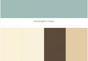 Benjamin Moore Elephant Tusk Kensington Green Featherbed Ivory Tusk Ferret Brown Mansfield