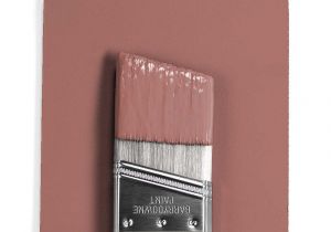 Benjamin Moore Pleasant Valley Paint 2092 40 Texas Rose Ellie S Room Benjamin Moore Benjamin Moore