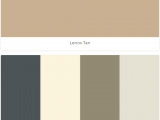 Benjamin Moore Polaris Blue Lenox Tan Westcott Navy Milkyway Hampshire Gray Gray Mist 2018