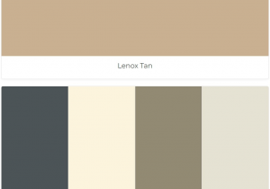 Benjamin Moore Polaris Blue Lenox Tan Westcott Navy Milkyway Hampshire Gray Gray Mist 2018