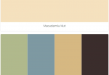 Benjamin Moore Polaris Blue Macadamia Nut Central Park Polaris Blue Wandering Heart Wenge