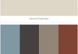 Benjamin Moore Polaris Blue Nature S Essentials Polaris Blue Deep Caviar Stardust Sienna