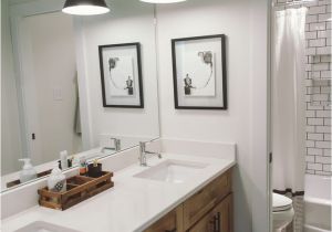 Benjamin Moore Winter Gray Bathroom Kids Bathroom Reno Bathroom Modern Farmhouse Bathroom Master