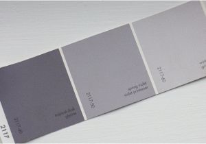 Benjamin Moore Winter Gray Benjamin Moore Winter Gray A Warm Gray with A Hint Of