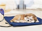 Best Anti Chew Dog Beds top 5 Best Dog Bed Anti Chew for Sale 2017 Best Gift Tips