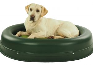 Best Anti Chew Dog Beds Water Proof Anti Bite Electric Dog Cat Bed Pet Warmer