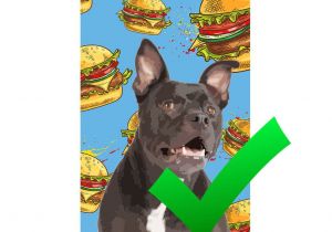 Best Dating Sites for Animal Lovers Dog Art Cat Art Custom Pet Pop Art Pop Your Pup