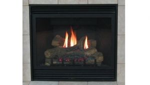 Best Direct Vent Gas Fireplace Reviews Best Direct Vent Gas Fireplace Reviews 2015 2016