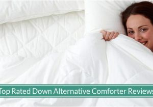 Best Down Alternative Comforter Reviews 2019 Best Rated Down Alternative Comforters Reviews Updated