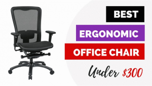 Best Ergonomic Office Chair Under $300 Best Ergonomic Office Chairs Under 300 for 2018 Reviews