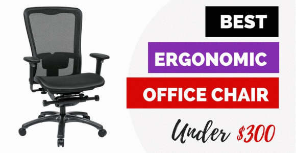 Best Ergonomic Office Chair Under $300 Best Ergonomic Office Chairs Under 300 for 2018 Reviews