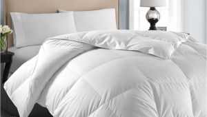 Best Fluffiest Down Alternative Comforter Microfiber Down Alternative Comforter Fluffy Down